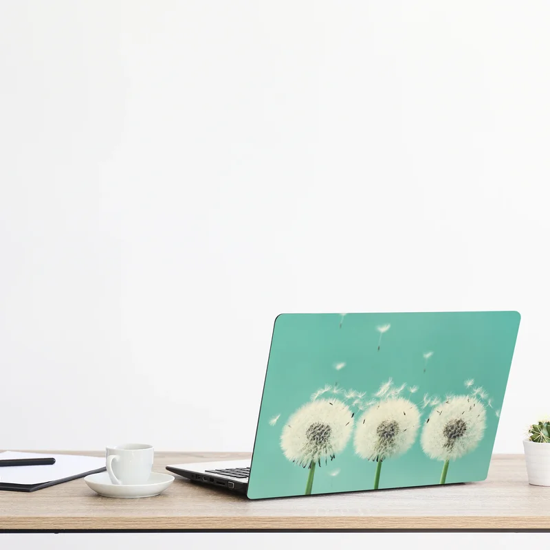 Laptop-Aufkleber drei löwenzahn-pusteblumen auf türkisgrund Laptop-Aufkleber drei löwenzahn-pusteblumen auf türkisgrund
