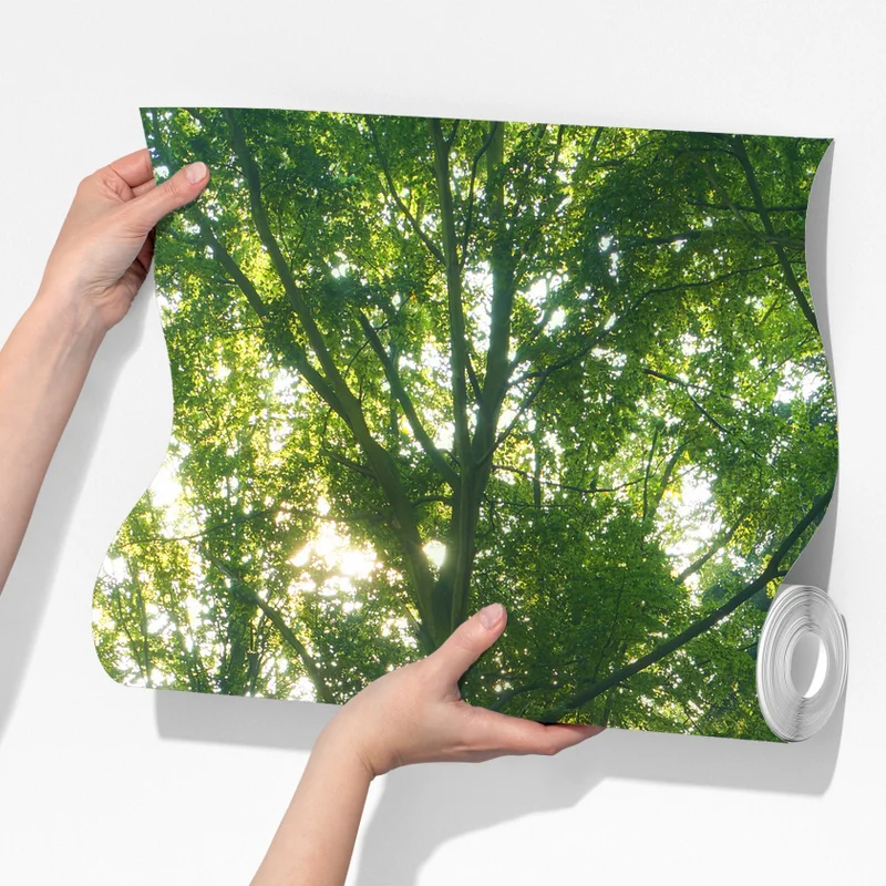 Fototapeta poranne światło w lesie Fototapeta poranne światło w lesie