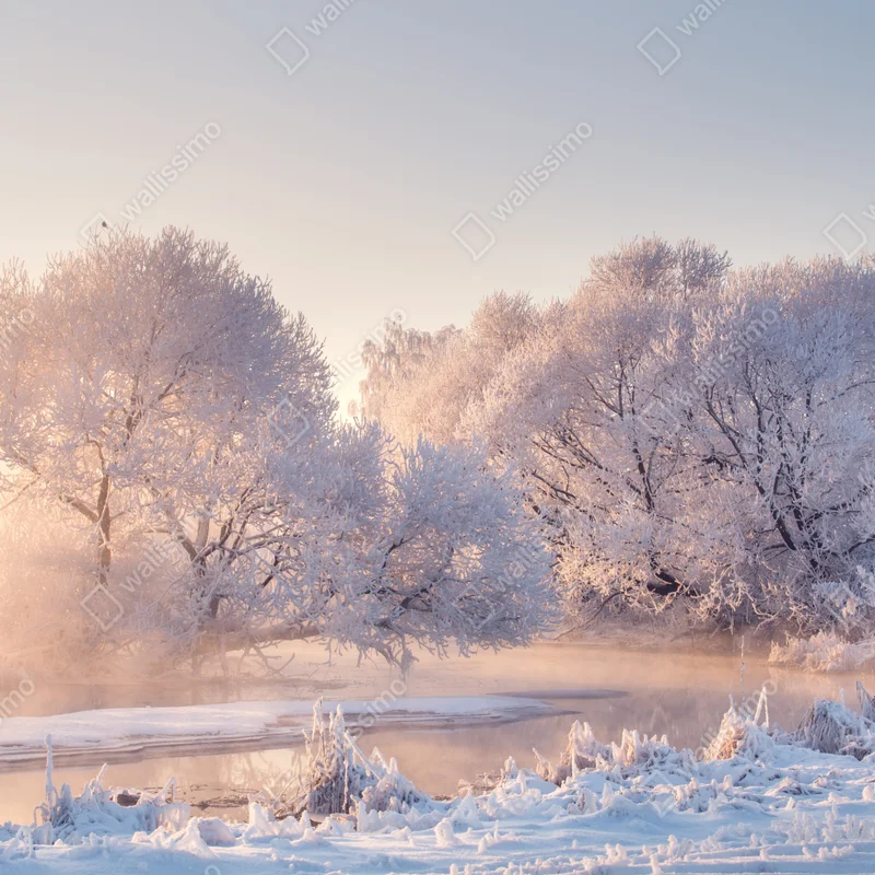 Tischaufkleber und Schreibtischaufkleber raureifbedeckte bäume bei sonnenaufgang Tischaufkleber und Schreibtischaufkleber raureifbedeckte bäume bei sonnenaufgang