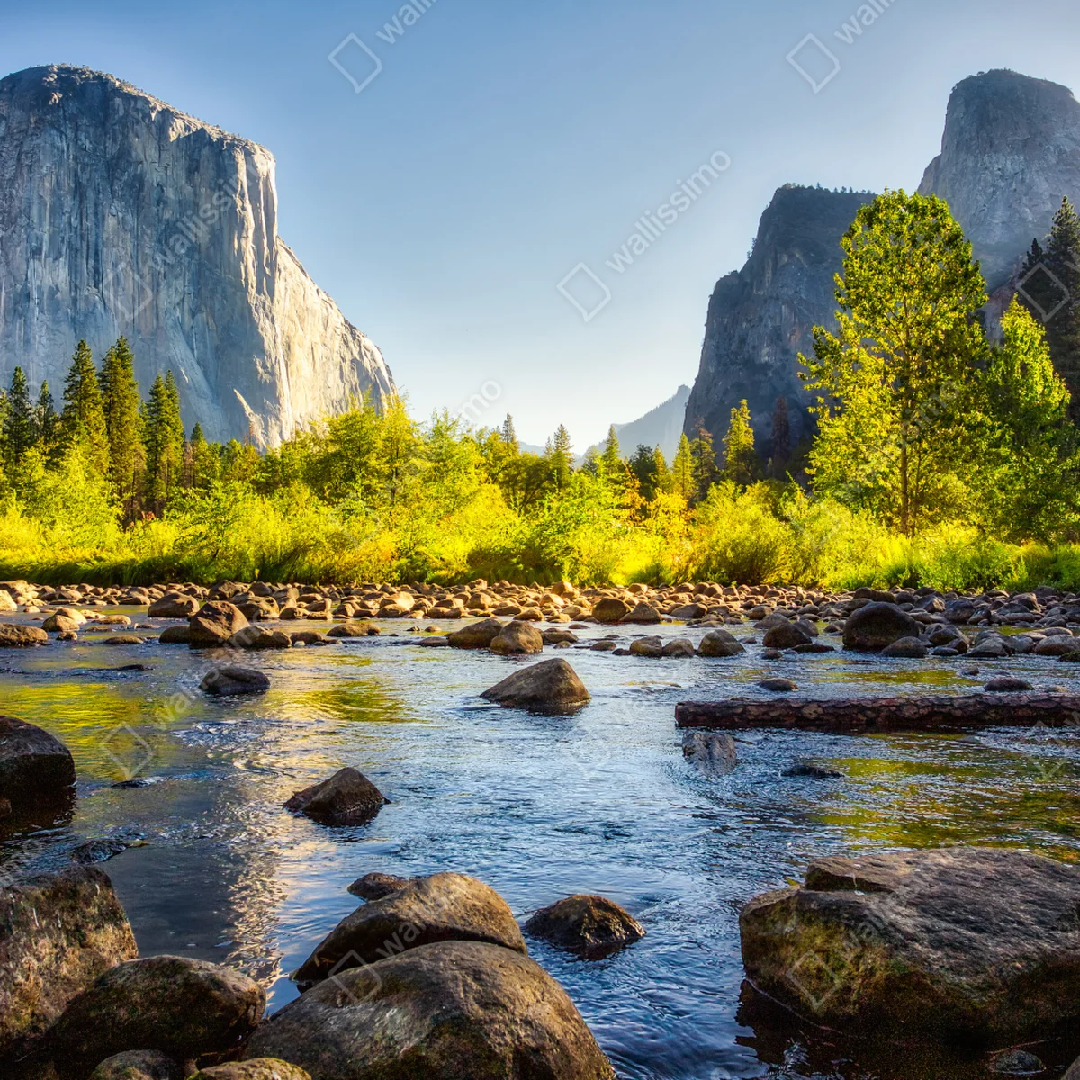 Poster goldenes flusstal Poster goldenes flusstal