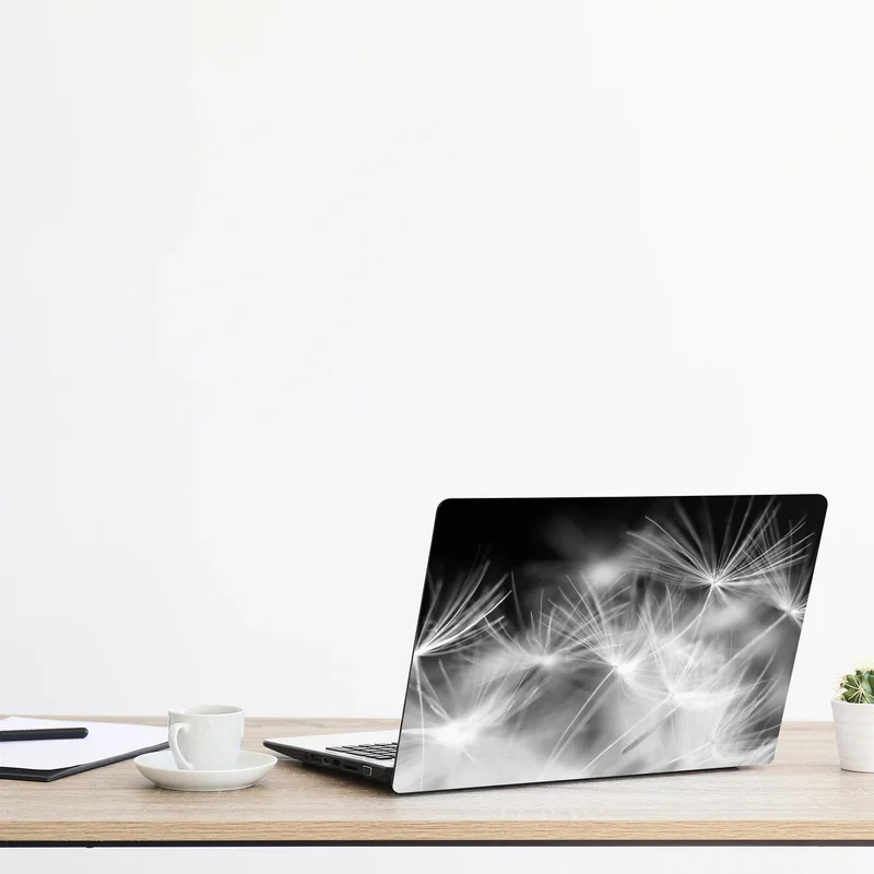 Laptop-Aufkleber zarte löwenzahnsamen in monochrom