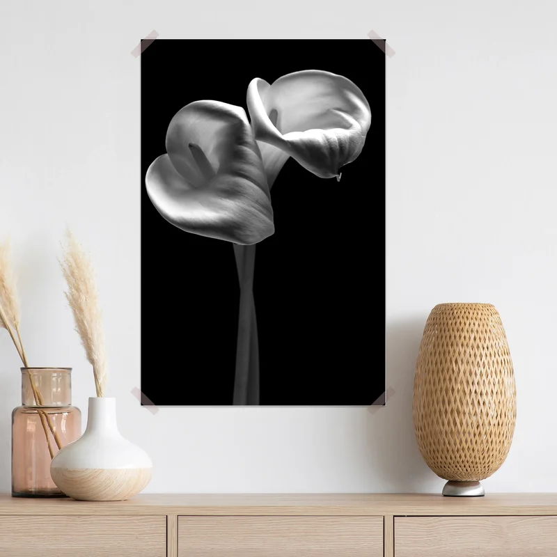 Poster elegante calla-blüten in monochrom Poster elegante calla-blüten in monochrom
