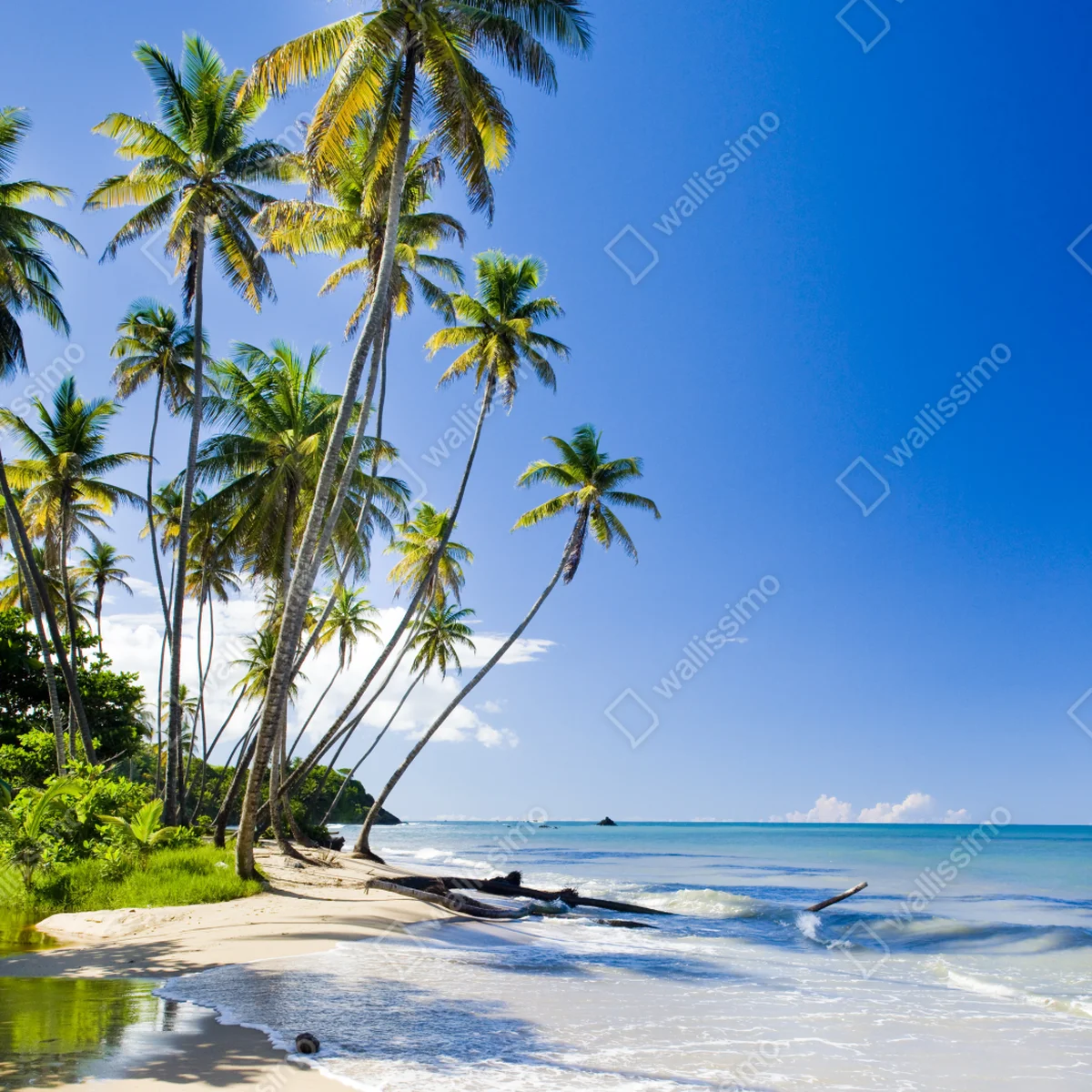 Schrankaufkleber tropischer palmenstrand unter blauem himmel Schrankaufkleber tropischer palmenstrand unter blauem himmel
