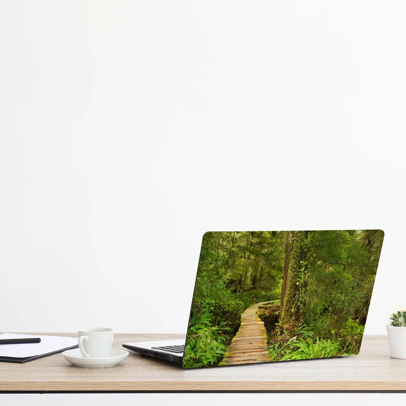 Naklejka na laptopa pomost w lesie deszczowym Pacific Rim