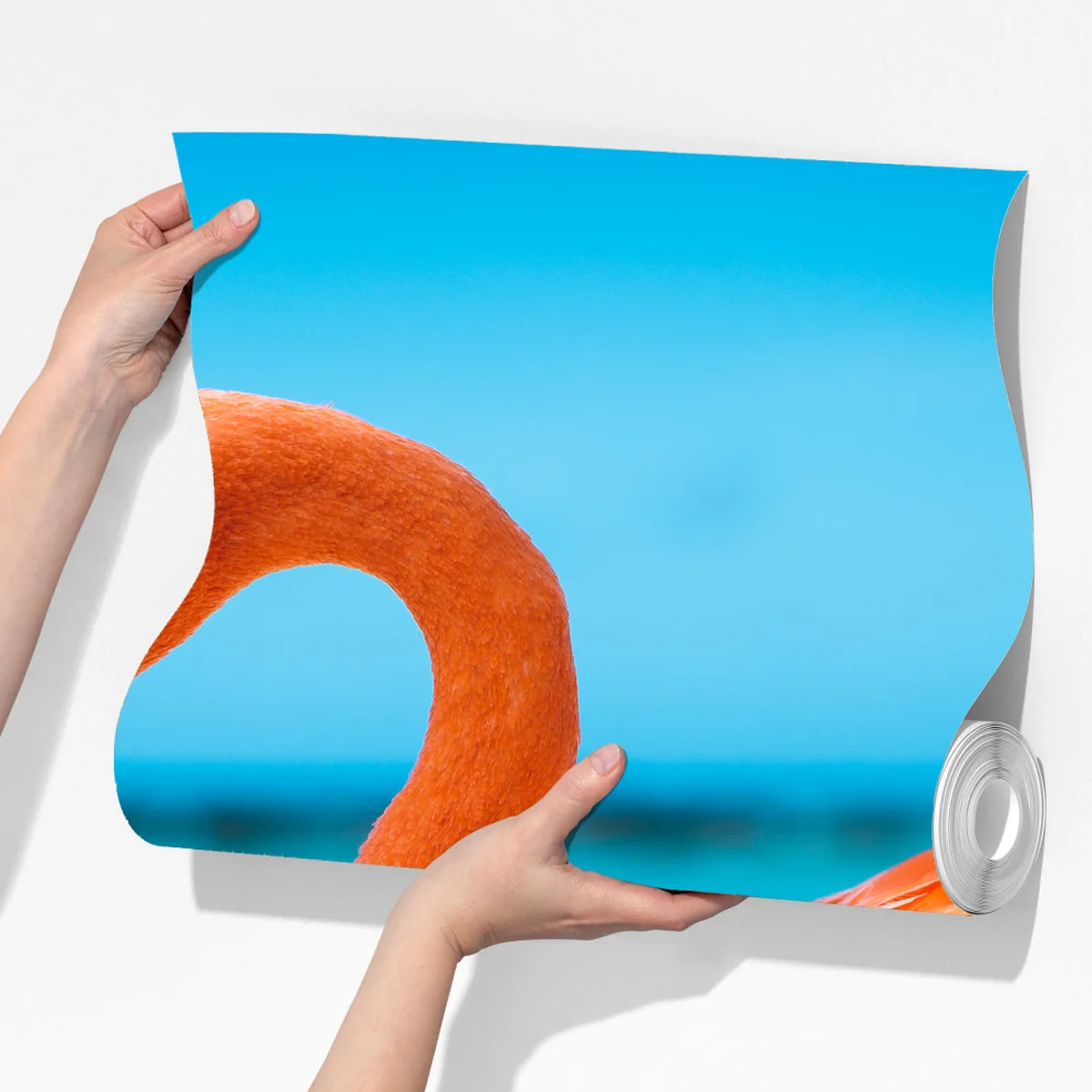 Fototapete leuchtender rosa flamingo am türkisfarbenen strand Fototapete leuchtender rosa flamingo am türkisfarbenen strand