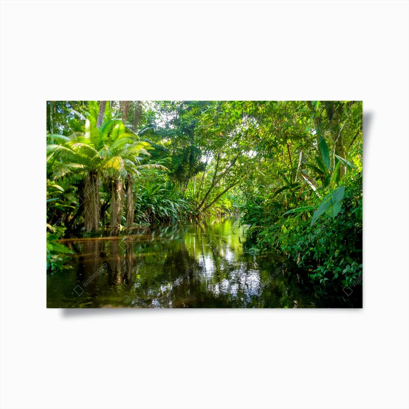 Poster Amazonas-Dschungel • Poster bei Wallnifity® Poster Amazonas-Dschungel • Poster bei Wallnifity®