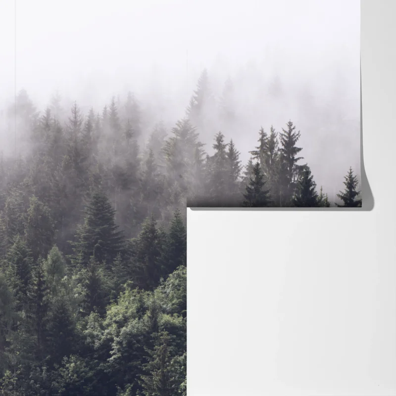 Fototapeta mglisty las iglasty na górskim zboczu Fototapeta mglisty las iglasty na górskim zboczu