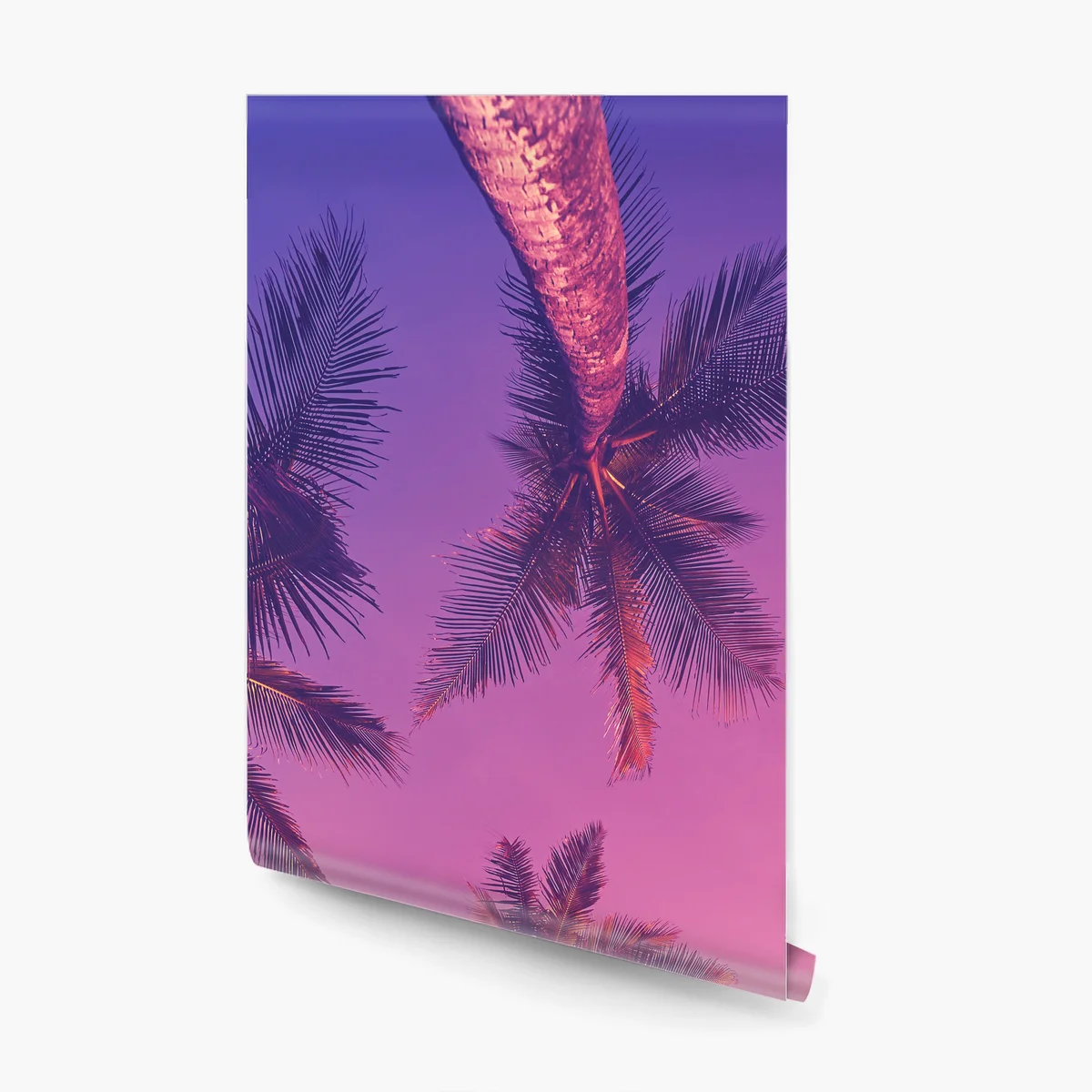 Fototapete tropische palmen beim sonnenuntergang Fototapete tropische palmen beim sonnenuntergang