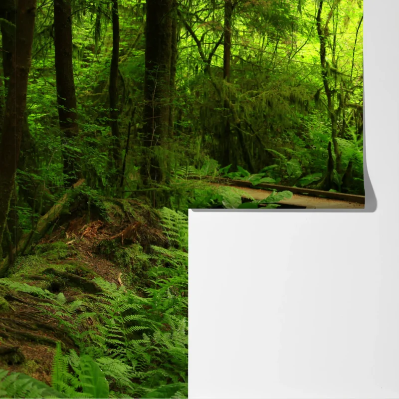 Fototapete ruhiger grüner waldsteg Fototapete ruhiger grüner waldsteg