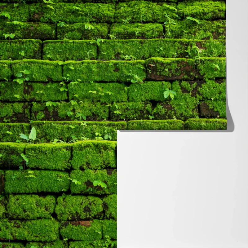 Fototapete üppige moosbedeckte ziegelwand Fototapete üppige moosbedeckte ziegelwand