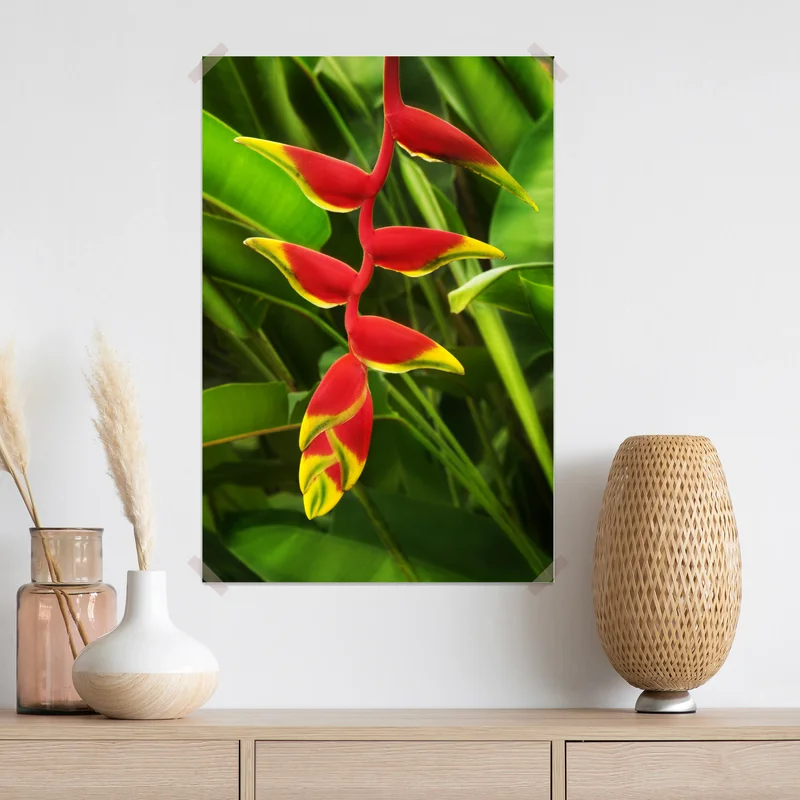 Poster leuchtende heliconia im tropischen laub Poster leuchtende heliconia im tropischen laub