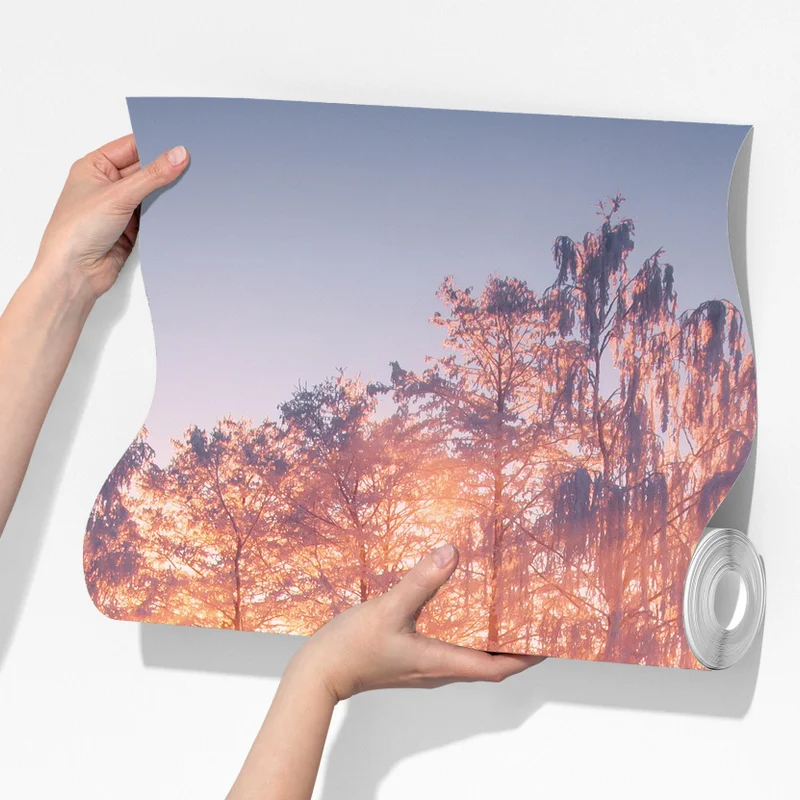 Fototapete winterlicher sonnenaufgang über zugefrorenem fluss Fototapete winterlicher sonnenaufgang über zugefrorenem fluss