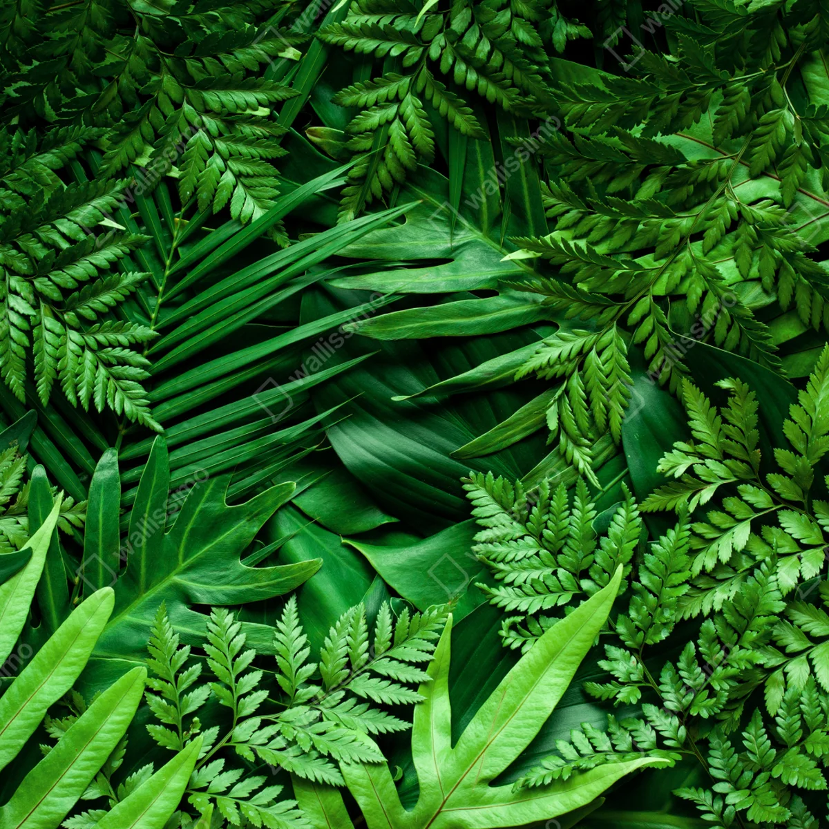 Türaufkleber üppiges grünes blättermuster Türaufkleber üppiges grünes blättermuster