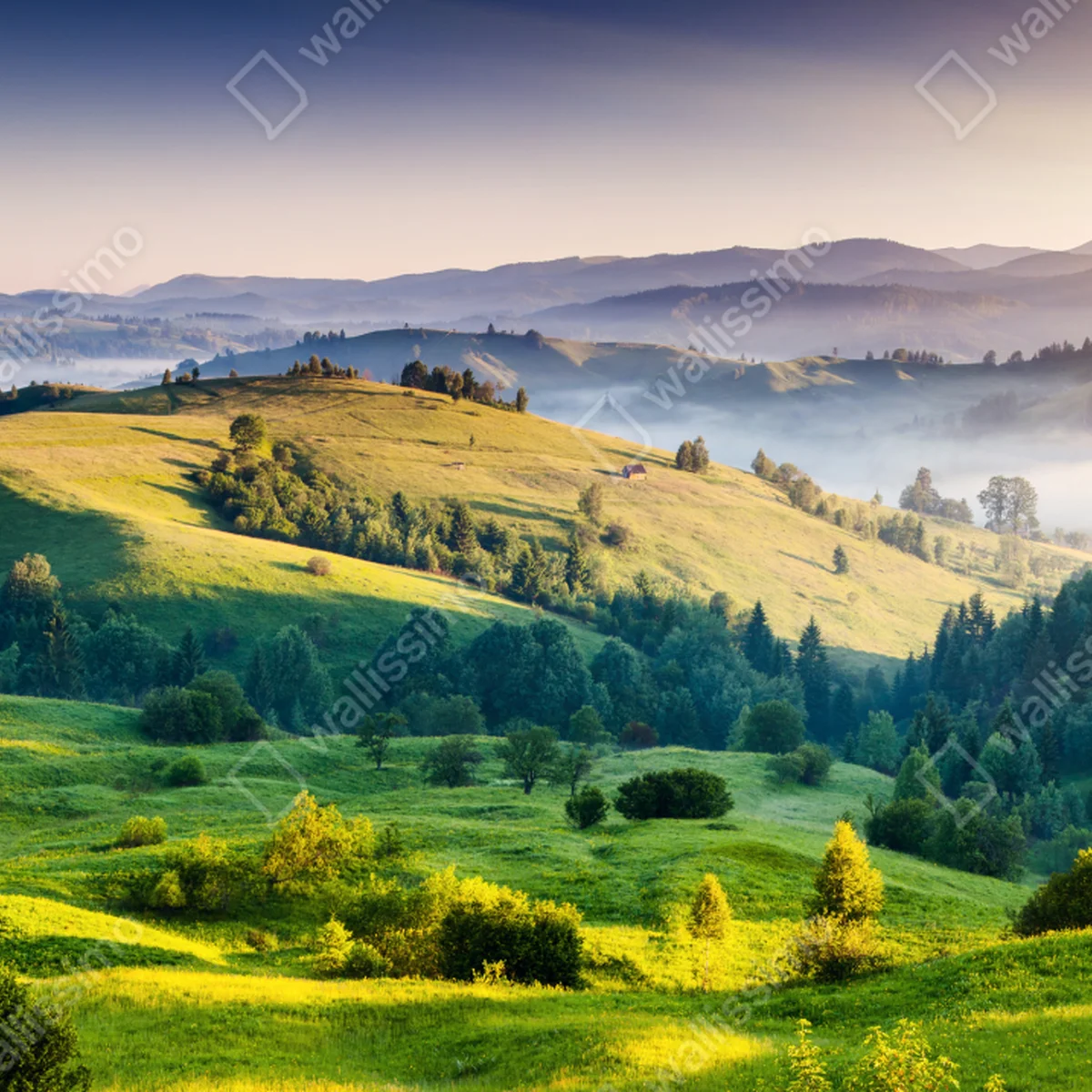 Fensteraufkleber Sonnenuntergang in den Karpaten über sanften grünen Hügeln Fensteraufkleber Sonnenuntergang in den Karpaten über sanften grünen Hügeln