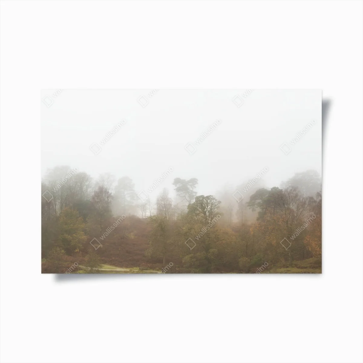 Poster schöne modrige Herbstlandschaft mit Wald und Nebel • Poster bei Wallnifity® Poster schöne modrige Herbstlandschaft mit Wald und Nebel • Poster bei Wallnifity®