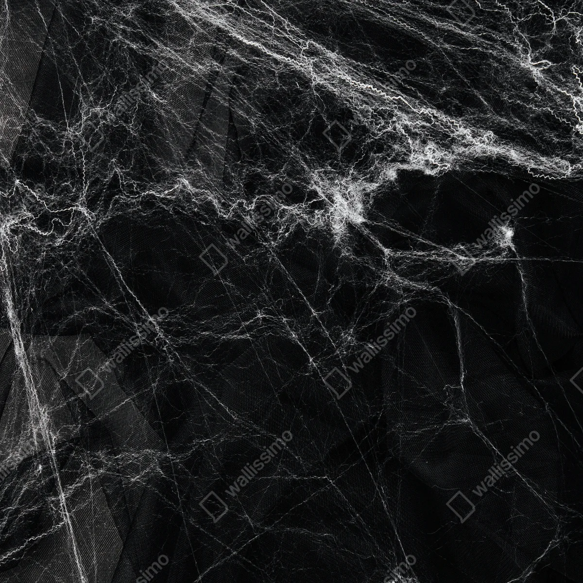 Türaufkleber gespenstisches spinnennetz auf schwarzem hintergrund Türaufkleber gespenstisches spinnennetz auf schwarzem hintergrund