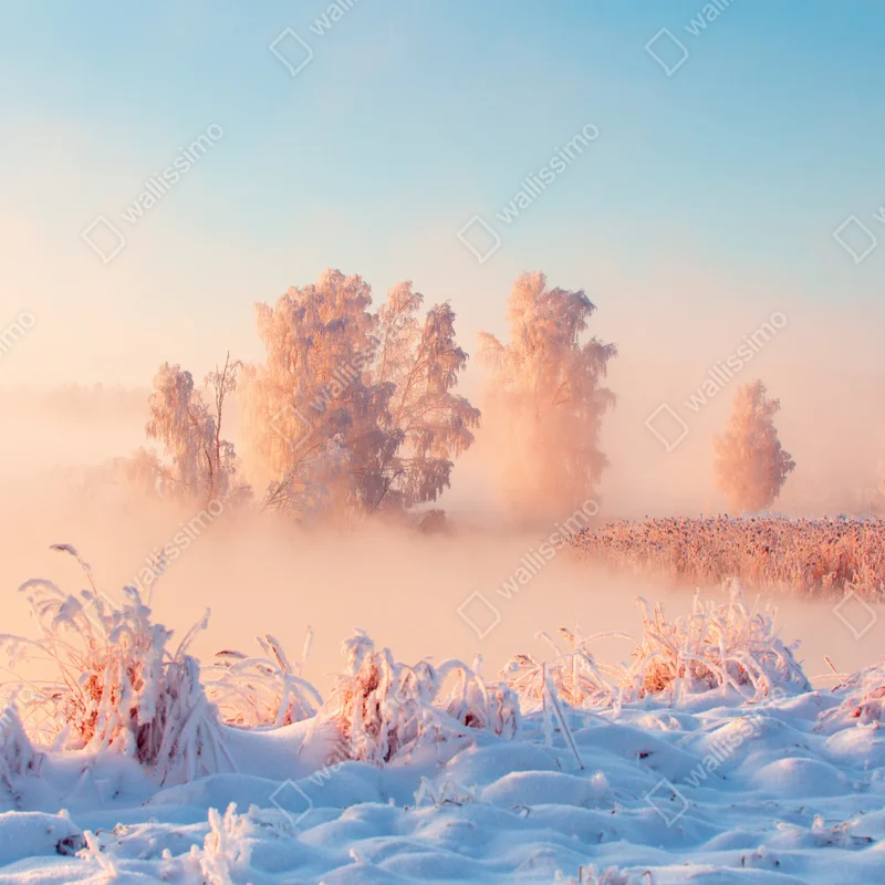 Poster winterlicher sonnenaufgang über einer frostigen wiese Poster winterlicher sonnenaufgang über einer frostigen wiese