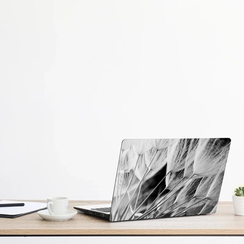 Laptop-Aufkleber zarte nahaufnahme von löwenzahnsamen in monochrom