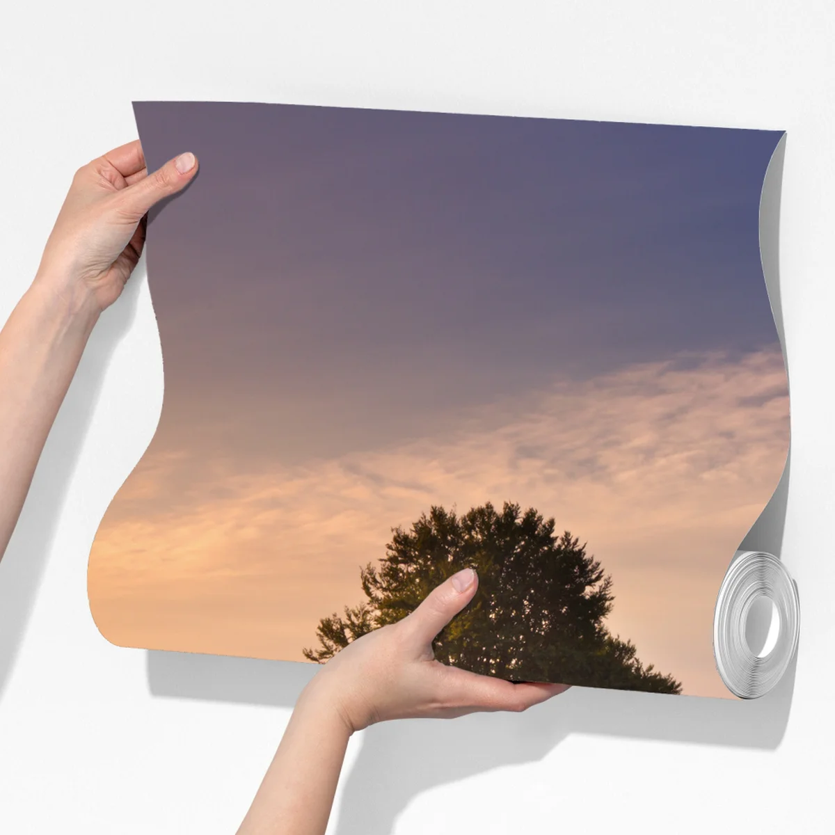 Fototapete Posbank bei sonnenaufgang über blühender heide Fototapete Posbank bei sonnenaufgang über blühender heide