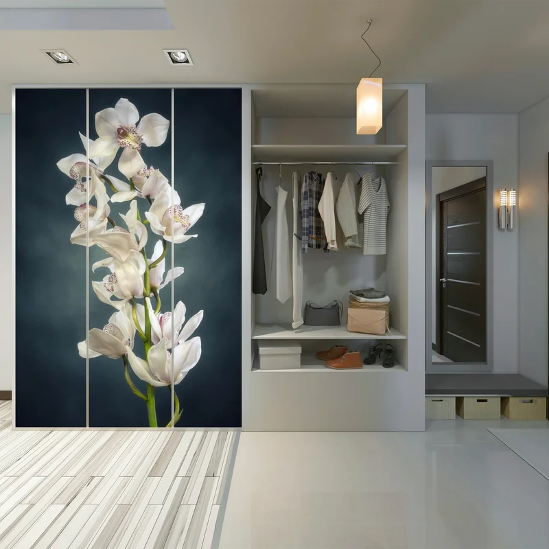 Schrankaufkleber zarte weiße orchideen vor gedämpftem hintergrund