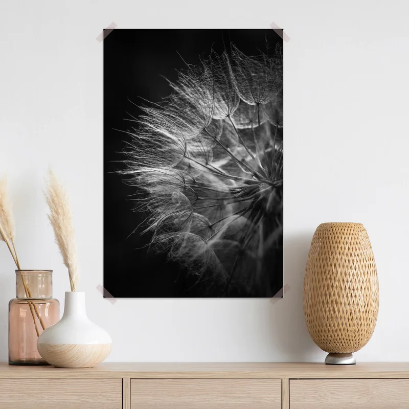 Poster zarter löwenzahn in monochrom Poster zarter löwenzahn in monochrom