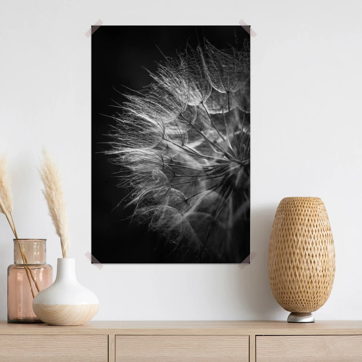 Poster zarter löwenzahn in monochrom Poster zarter löwenzahn in monochrom