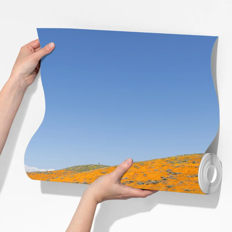 Fototapete pfad durch den mohn-superbloom in Südkalifornien Fototapete pfad durch den mohn-superbloom in Südkalifornien