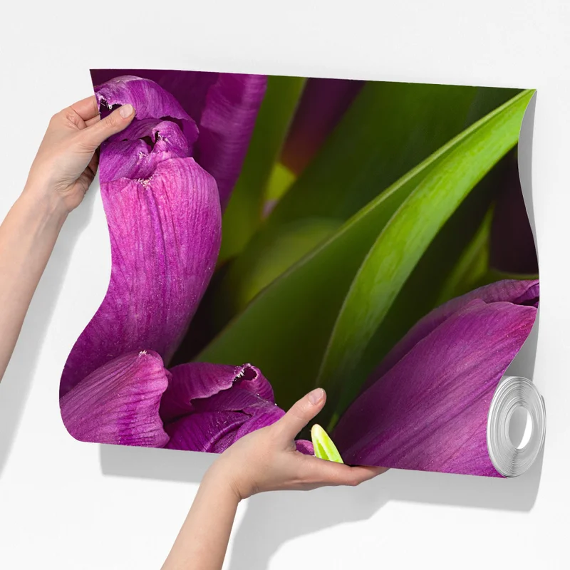 Fototapete lila tulpen im bukett Fototapete lila tulpen im bukett