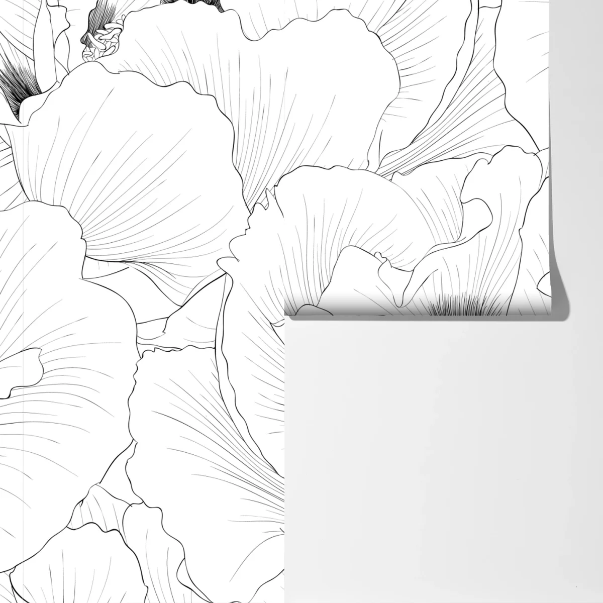 Fototapete feine botanische linienzeichnung mit blumen Fototapete feine botanische linienzeichnung mit blumen