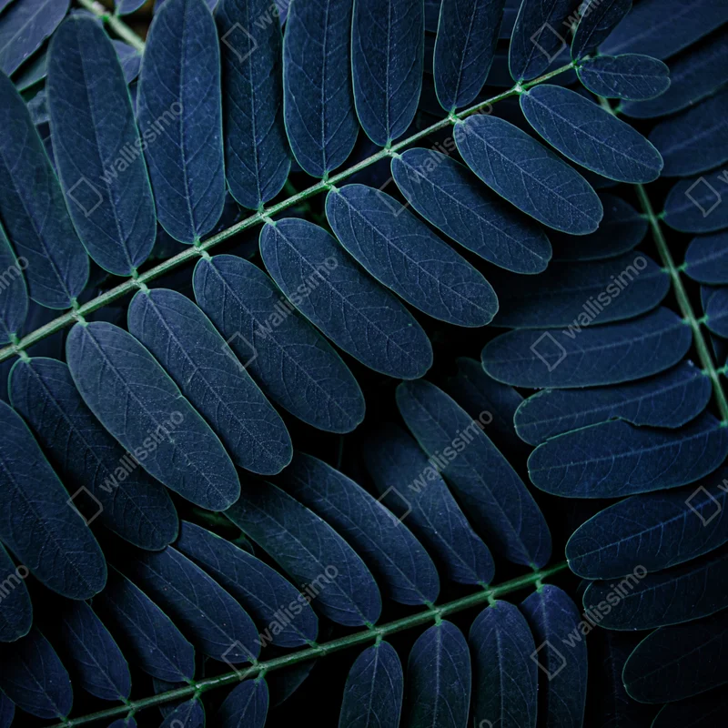 Tischaufkleber und Schreibtischaufkleber tiefblaues blattmuster Tischaufkleber und Schreibtischaufkleber tiefblaues blattmuster