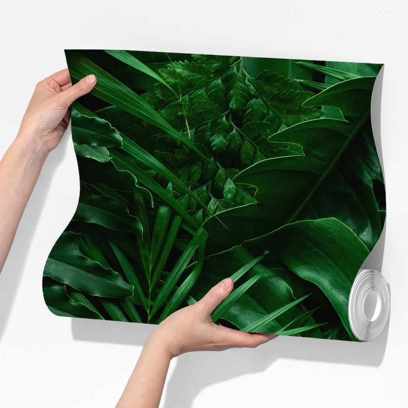 Fototapete üppige tropische blätter Fototapete üppige tropische blätter