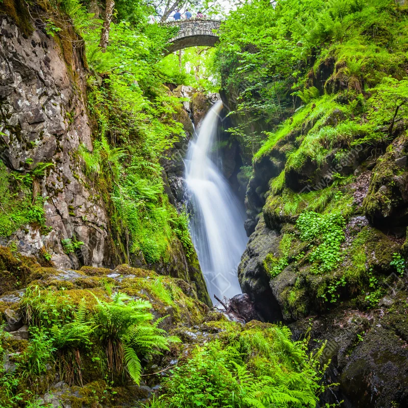 Schrankaufkleber wasserfall in moosiger schlucht mit steinbrücke Schrankaufkleber wasserfall in moosiger schlucht mit steinbrücke