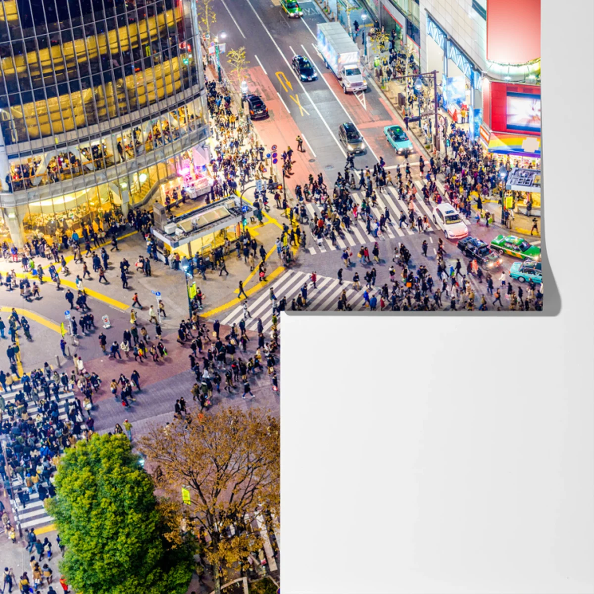 Fototapete Shibuya nächtliche kreuzung Fototapete Shibuya nächtliche kreuzung