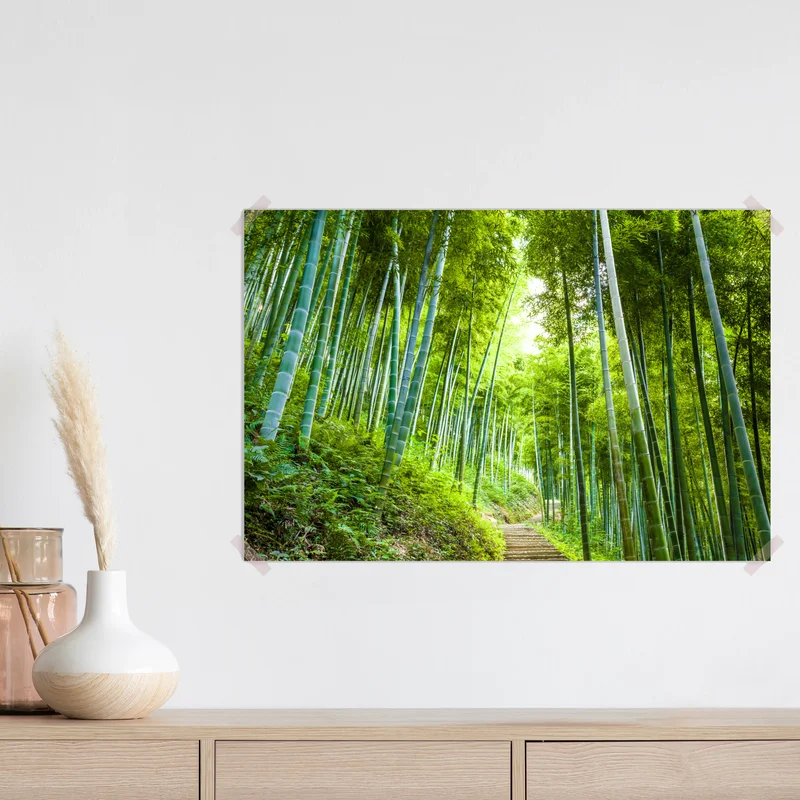 Poster ruhiger bambuswaldweg Poster ruhiger bambuswaldweg