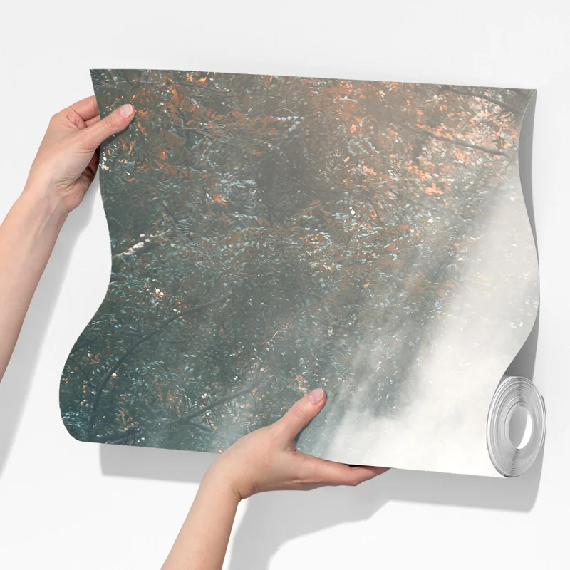 Fototapete majestätischer elefant im sonnenlichtdurchfluteten wald Fototapete majestätischer elefant im sonnenlichtdurchfluteten wald