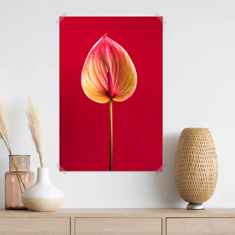 Poster elegantes anthurium vor rotem hintergrund Poster elegantes anthurium vor rotem hintergrund