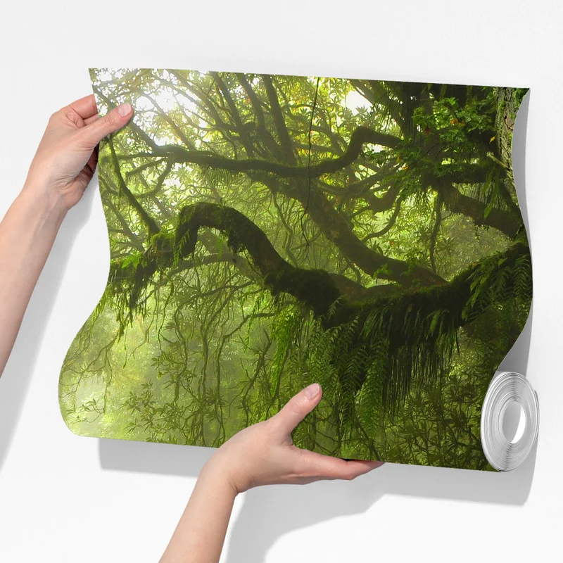 Fototapeta bujna mglista leśna ścieżka Fototapeta bujna mglista leśna ścieżka