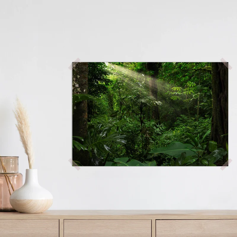 Poster Tropischer Wald mit einem Baum auf dem Hintergrund eines Waldes • Poster bei Wallnifity® Poster Tropischer Wald mit einem Baum auf dem Hintergrund eines Waldes • Poster bei Wallnifity®