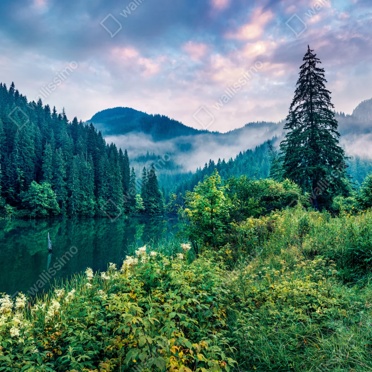 Fototapete nebliger sonnenaufgang über Lacu Rosu Fototapete nebliger sonnenaufgang über Lacu Rosu