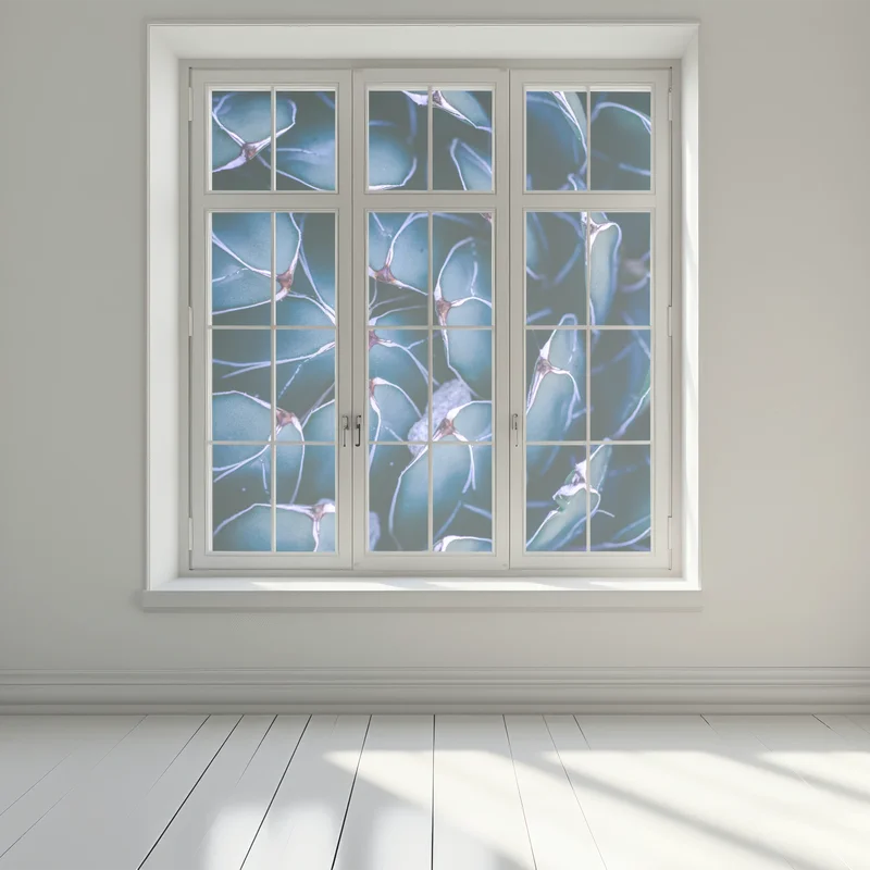 Fensteraufkleber geometrische makroaufnahme türkiser sukkulente