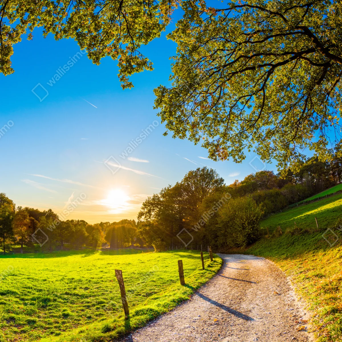 Laptop-Aufkleber sonnenbeschienene wiese mit landweg bei sonnenuntergang Laptop-Aufkleber sonnenbeschienene wiese mit landweg bei sonnenuntergang