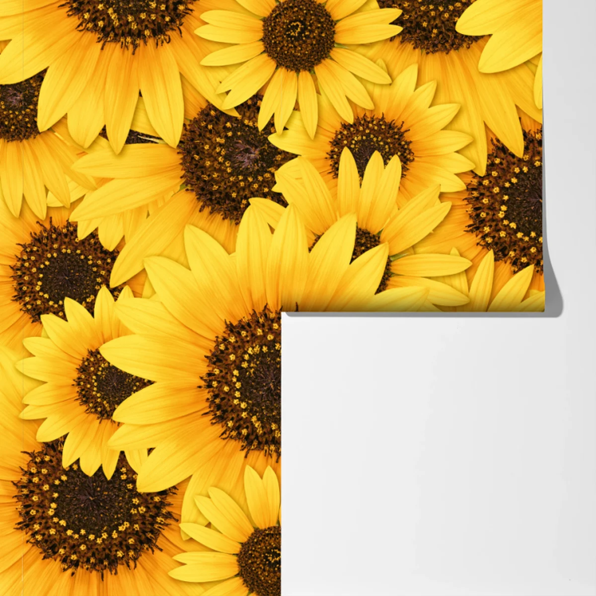 Fototapete goldene sonnenblumen Fototapete goldene sonnenblumen