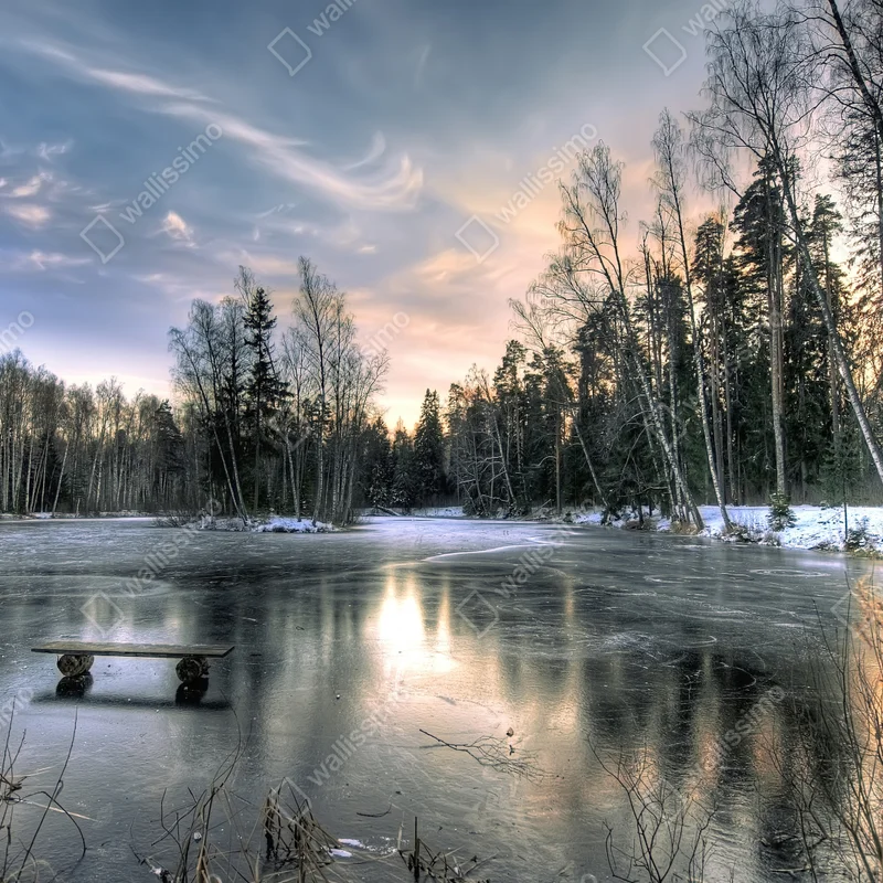 Fototapeta zamarznięte jezioro o świcie z leśnym odbiciem Fototapeta zamarznięte jezioro o świcie z leśnym odbiciem