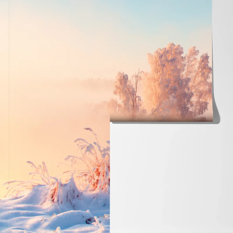 Fototapete winterlicher sonnenaufgang über einer frostigen wiese Fototapete winterlicher sonnenaufgang über einer frostigen wiese