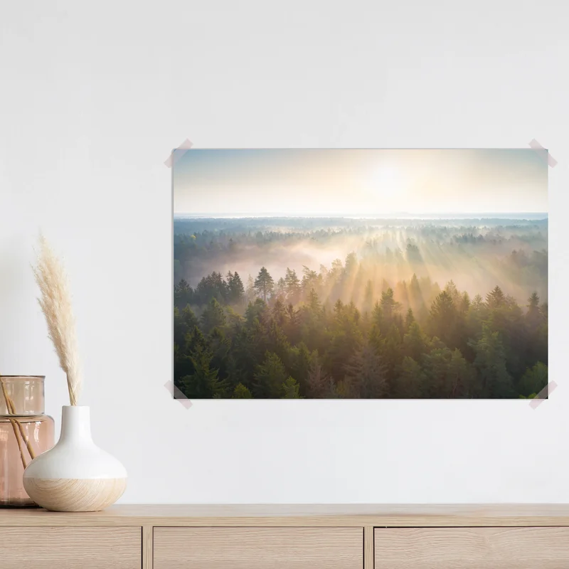 Poster Hrodna Forest sonnenaufgang über nebelverhangenen baumkronen • Poster bei Wallnifity® Poster Hrodna Forest sonnenaufgang über nebelverhangenen baumkronen • Poster bei Wallnifity®