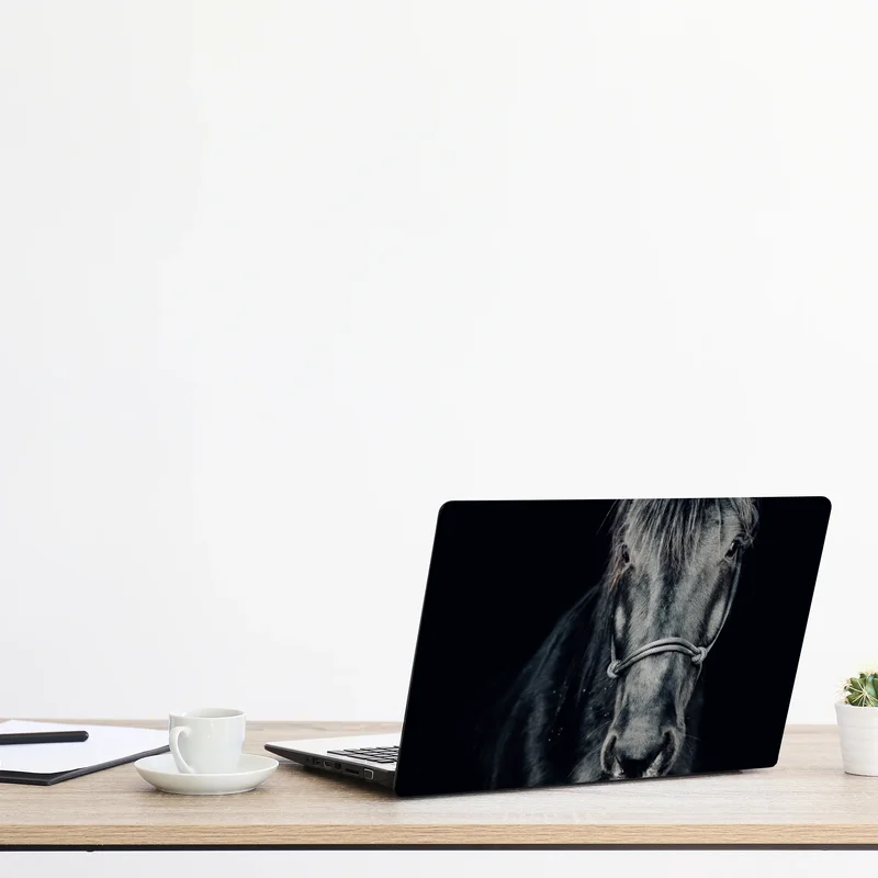 Laptop-Aufkleber majestätisches schwarzes pferdeporträt