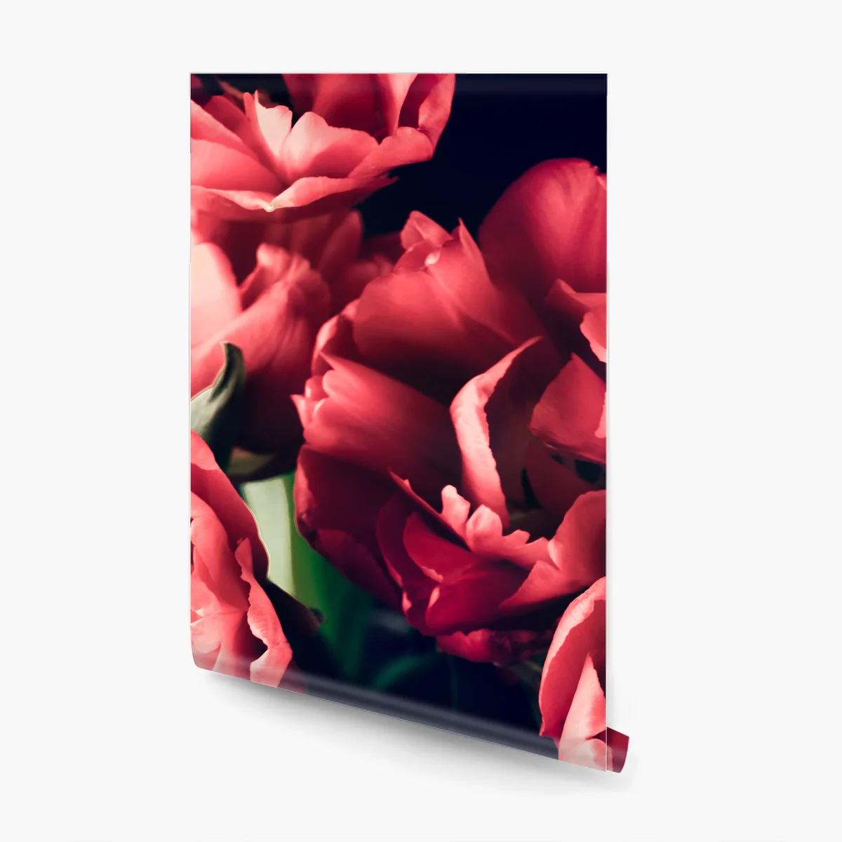 Fototapete stimmungsvolles rosa tulpenbukett Fototapete stimmungsvolles rosa tulpenbukett