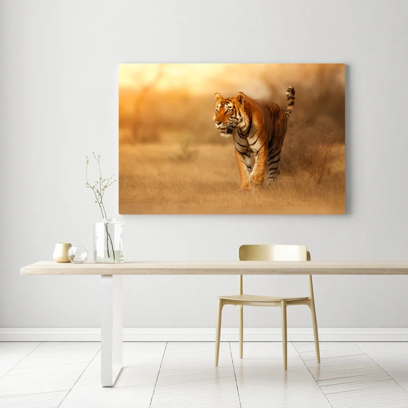 Leinwandbild majestätischer tiger im goldenen licht Leinwandbild majestätischer tiger im goldenen licht