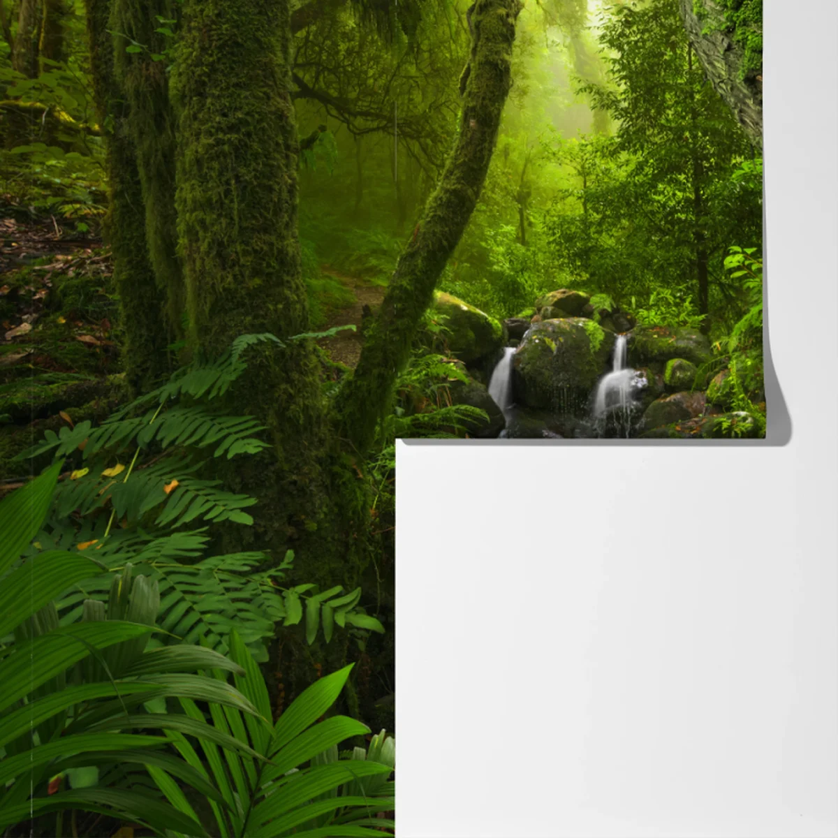 Fototapete moosiger waldbach im morgenlicht Fototapete moosiger waldbach im morgenlicht