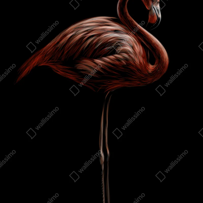 Poster eleganter roter flamingo vor schwarzem hintergrund Poster eleganter roter flamingo vor schwarzem hintergrund
